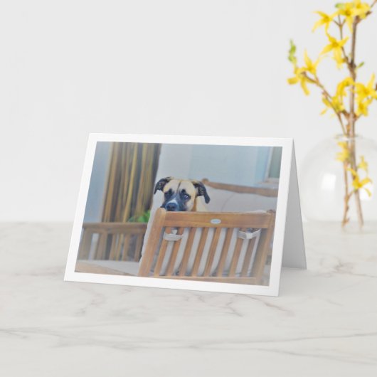 曇りの犬の肖像 カード (黄色い花)