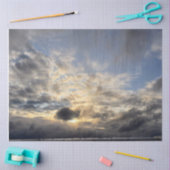 曇りコーンサンセット 薄葉紙 (クラフト)