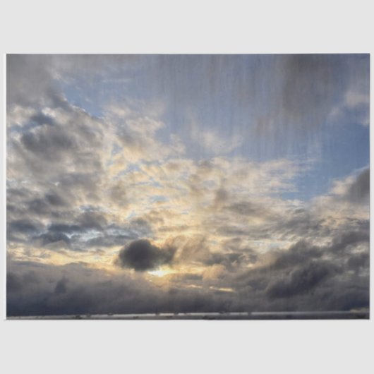 曇りコーンサンセット 薄葉紙 (正面)