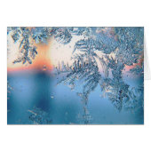 曇りビュー (正面横)