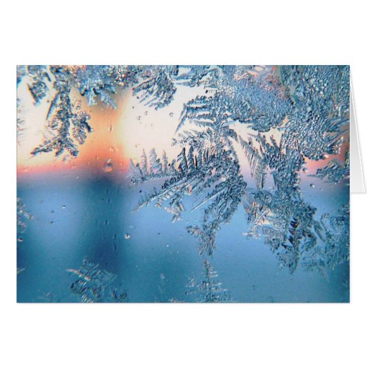 曇りビュー (正面横)