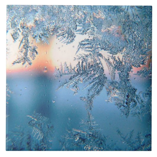 曇りビュー タイル (正面)