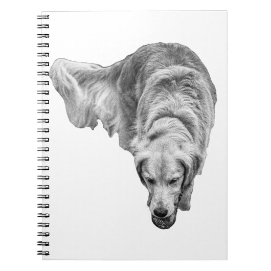 曇り夜明けの反射 ノートブック (正面)