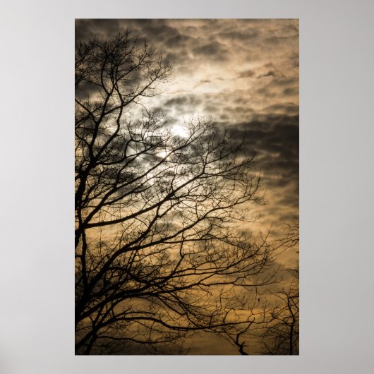 曇り太陽のシーン ポスター (正面)