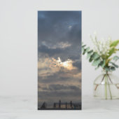 曇り日の出バイシャーリーテイラー (スタンド正面)