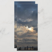 曇り日の出バイシャーリーテイラー (正面/裏面)