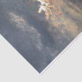 曇り日の出バイシャーリーテイラー 薄葉紙 (詳細)