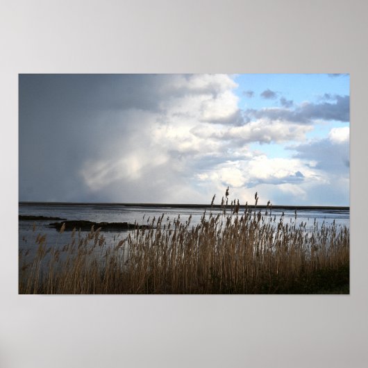 曇り日の水辺のポスター ポスター (正面)