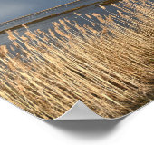 曇り日の水辺のポスター ポスター (角)