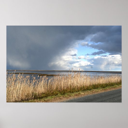 曇り日の水辺のポスター ポスター (正面)
