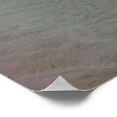 曇り日没オンケープコッド ポスター (角)