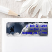 曇り空3ラインのF-16《鳥》ハヤブサ ラベル (インサイチュ)