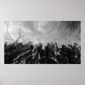 曇り空。 ポスター (正面)