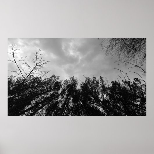 曇り空。 ポスター (正面)