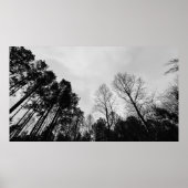 曇り空。 ポスター (正面)