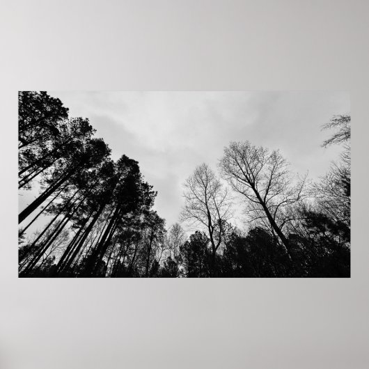 曇り空。 ポスター (正面)