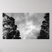 曇り空。 ポスター (正面)