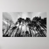 曇り空。 ポスター (正面)