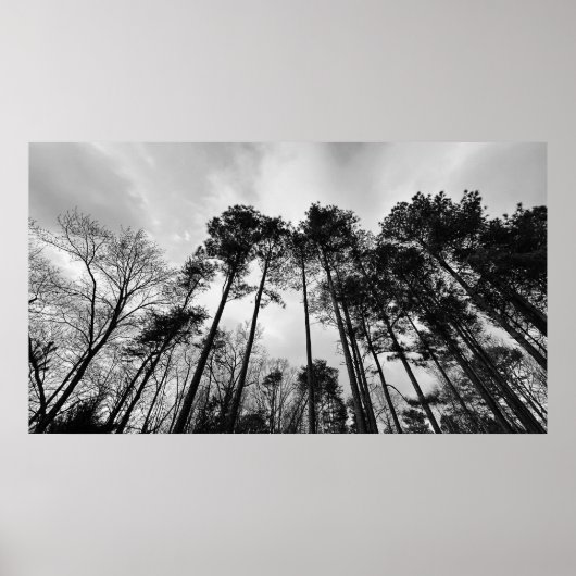 曇り空。 ポスター (正面)