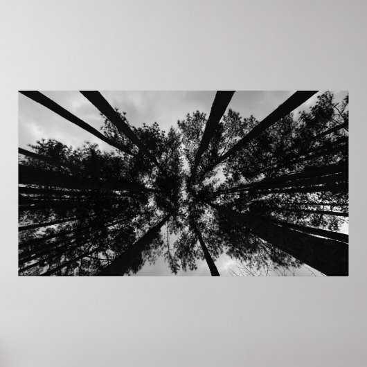 曇り空。 ポスター (正面)