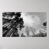 曇り空。 ポスター (正面)