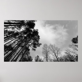 曇り空。 ポスター