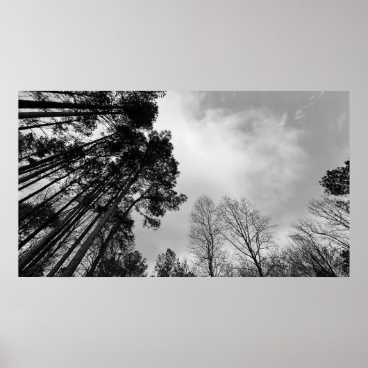 曇り空。 ポスター (正面)