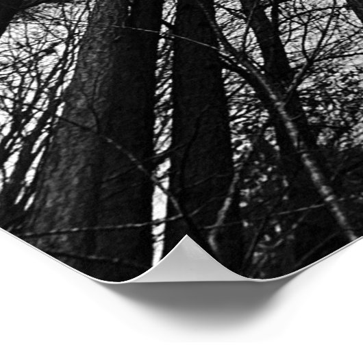 曇り空。 ポスター (角)