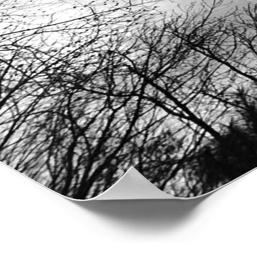 曇り空。 ポスター (角)