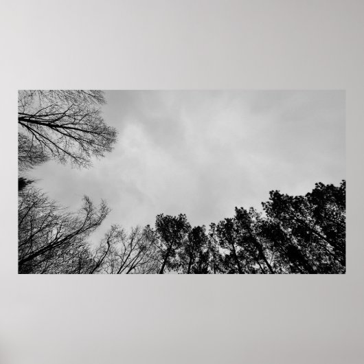 曇り空。 ポスター (正面)