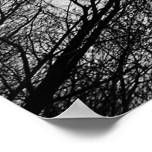 曇り空。 ポスター (角)