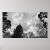 曇り空。 ポスター (正面)