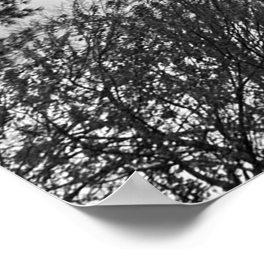 曇り空。 ポスター (角)