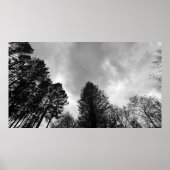 曇り空。 ポスター (正面)