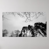 曇り空。 ポスター (正面)