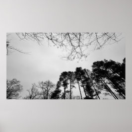 曇り空。 ポスター