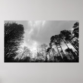 曇り空。 ポスター (正面)