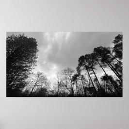 曇り空。 ポスター