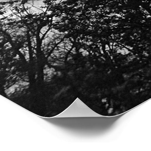 曇り空。 ポスター (角)