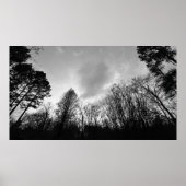 曇り空。 ポスター (正面)