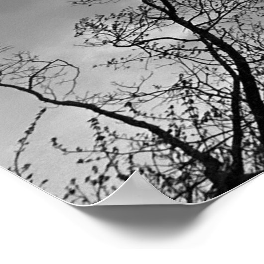 曇り空。 ポスター (角)