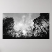 曇り空。 ポスター (正面)