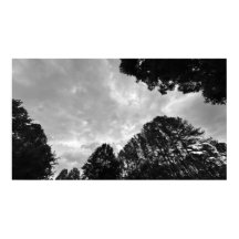 曇り空、ポスター