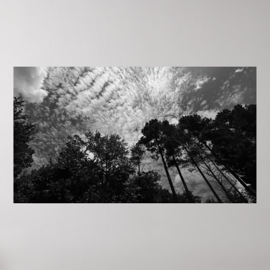 曇り空、ポスター ポスター (正面)
