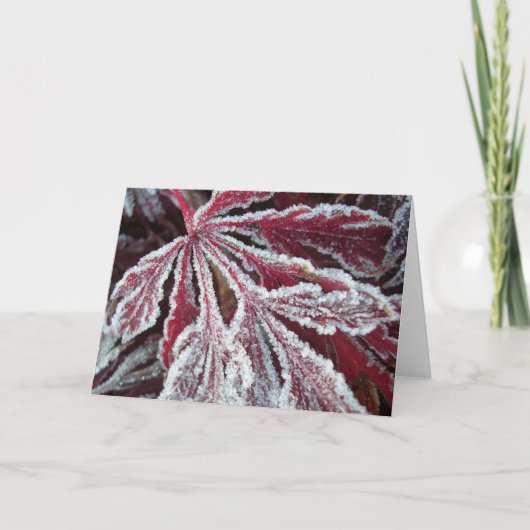 曖昧で霜の降りたな葉 カード (正面)