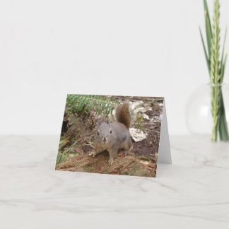 曖昧な私の友人 カード