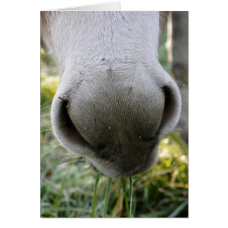 曖昧な鼻カード