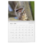 曖昧なAnoles 2016年- Anoleの史料の生産 カレンダー (3月 2027)