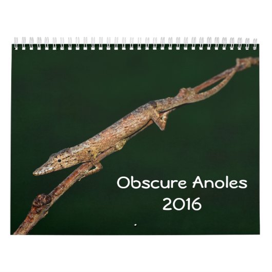 曖昧なAnoles 2016年- Anoleの史料の生産 カレンダー (カバー)