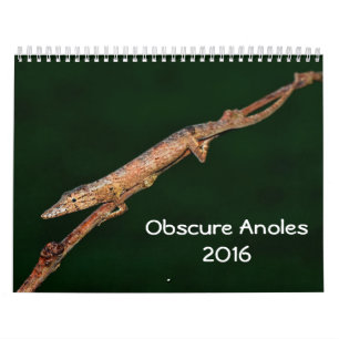 曖昧なAnoles 2016年- Anoleの史料の生産 カレンダー